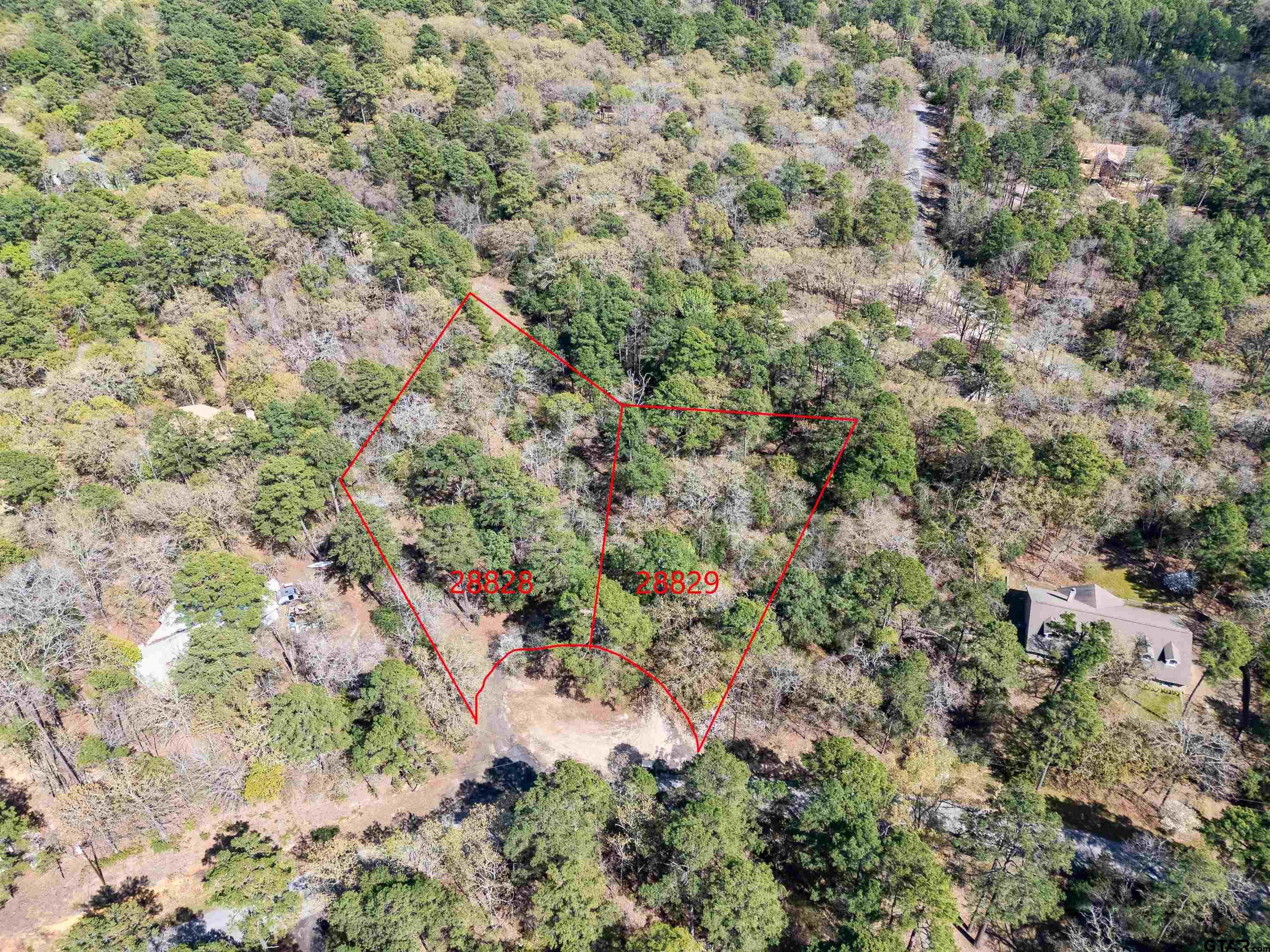 Tbd Winding Trail Holly Lake Ranch, TX 75765 - Photo 4 of 26 a view of a forest with a tree