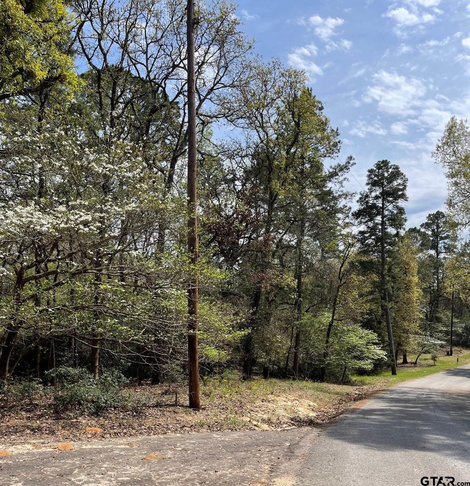 Tbd Winding Trail Holly Lake Ranch, TX 75765 - Photo 5 of 26 a view of a field with trees in the background