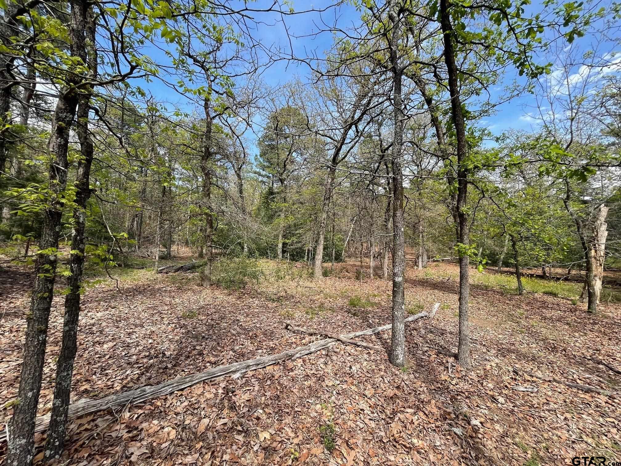 Tbd Winding Trail Holly Lake Ranch, TX 75765 - Photo 7 of 26 a backyard of a house with lots of green space