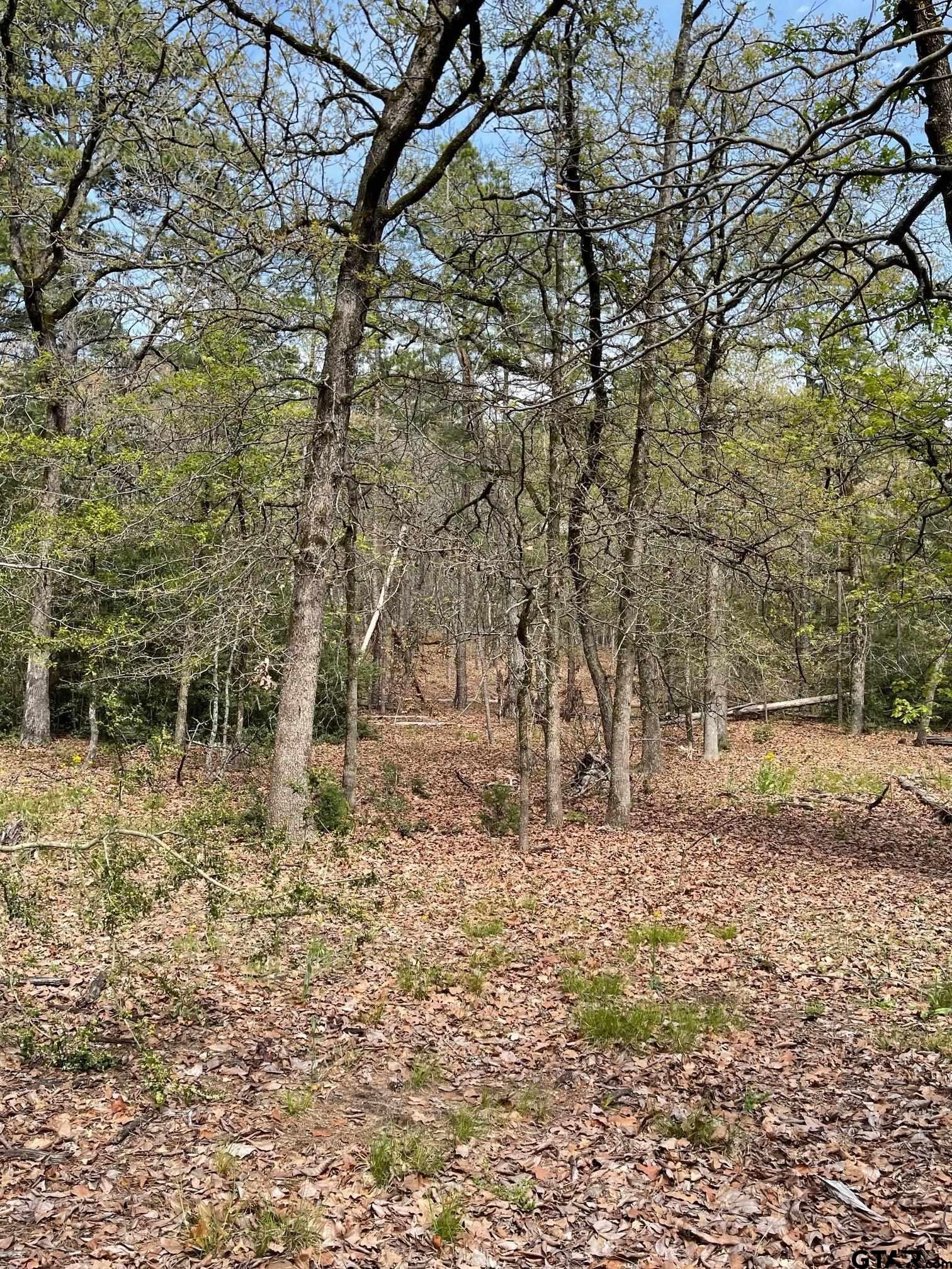 Tbd Winding Trail Holly Lake Ranch, TX 75765 - Photo 10 of 26 a backyard of a house with lots of green space