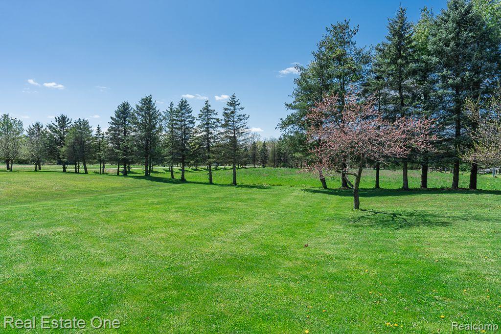 3320 Kilgore Road Avoca, MI 48006 - Photo 6 of 78