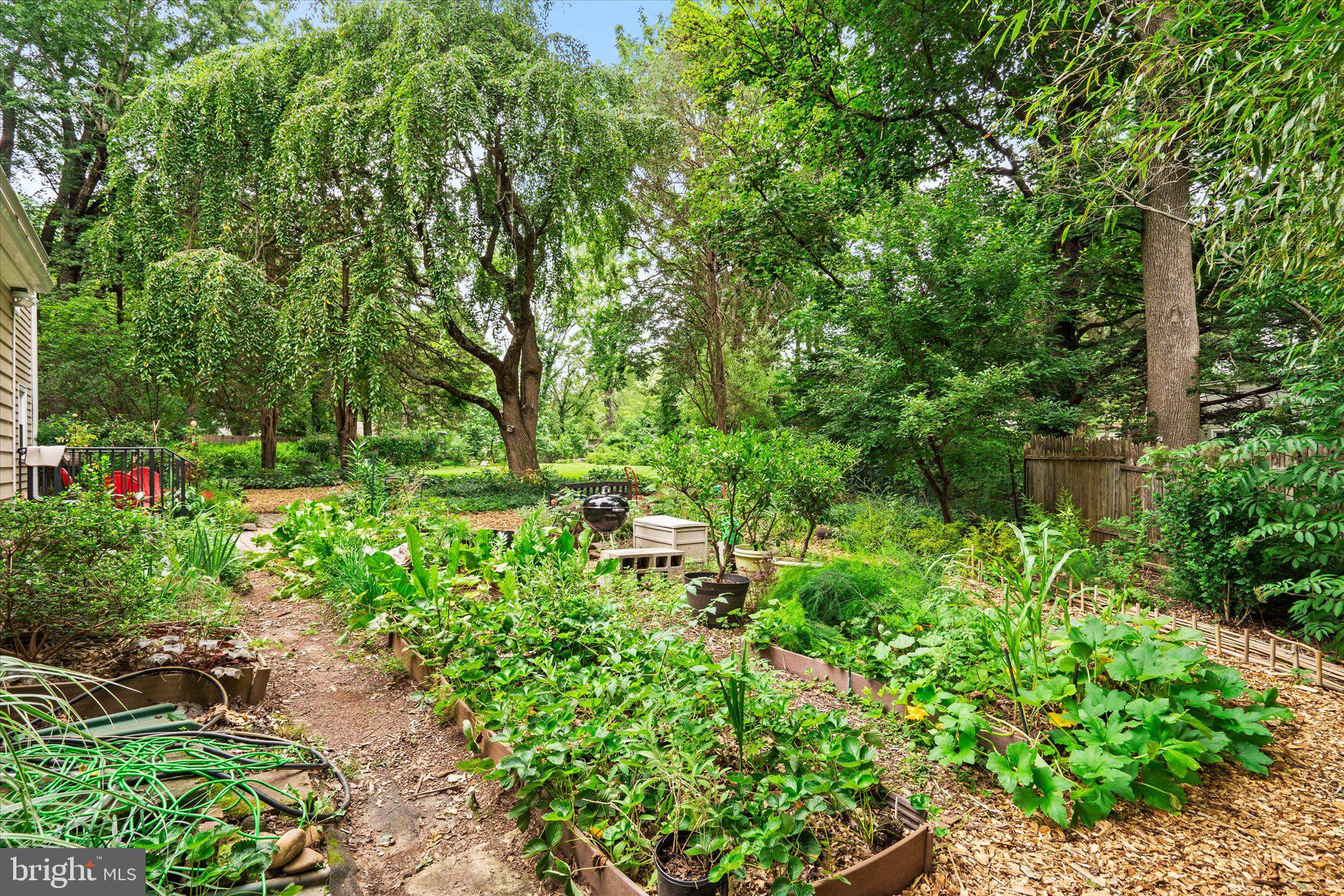 21 Duffield Place Princeton, NJ 08540 - Photo 29 of 31 garden
