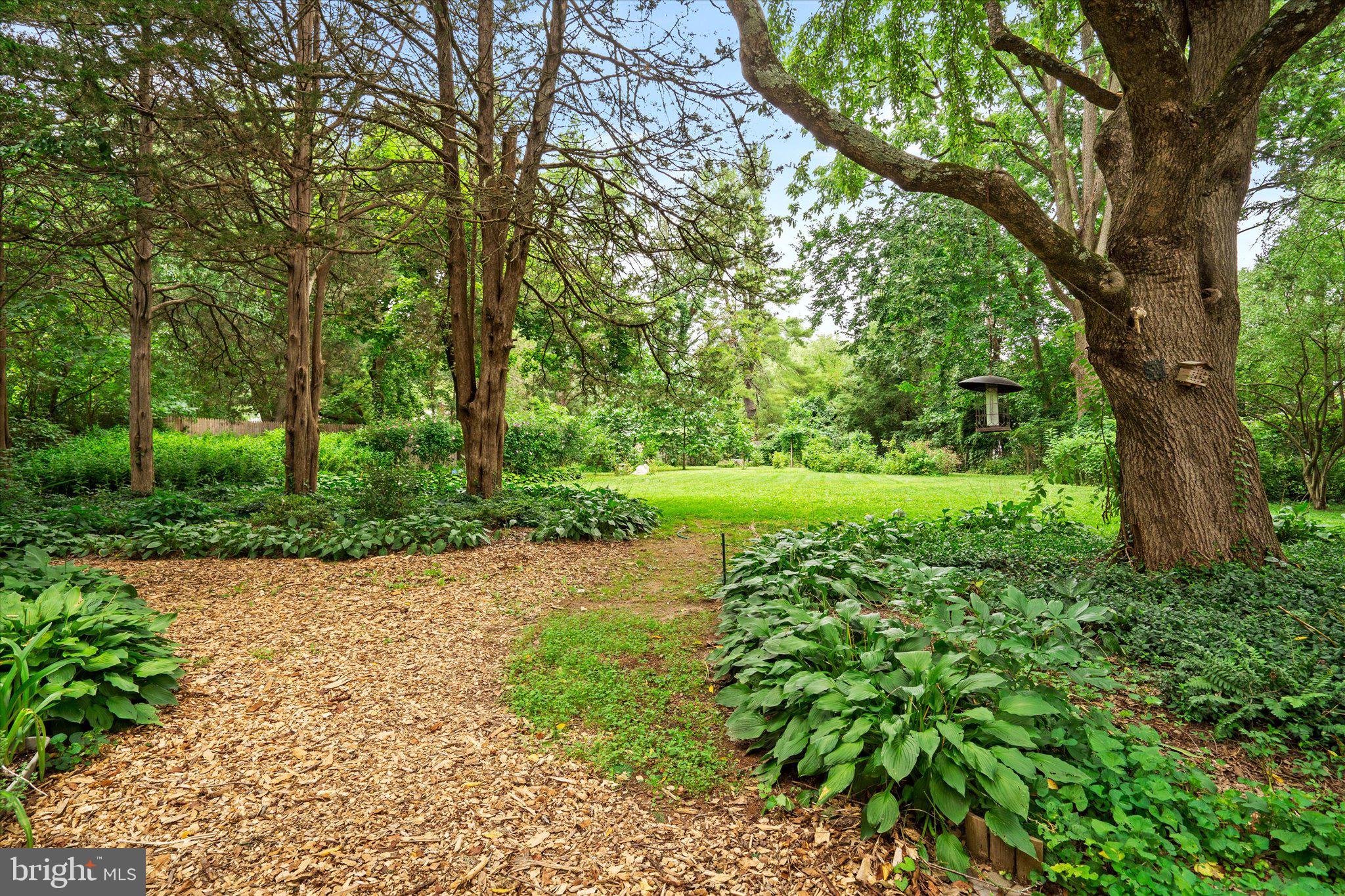 21 Duffield Place Princeton, NJ 08540 - Photo 31 of 31 yard