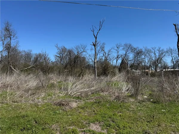 $10,000 | Lot 8 2nd Street, Rosebud, TX 76570