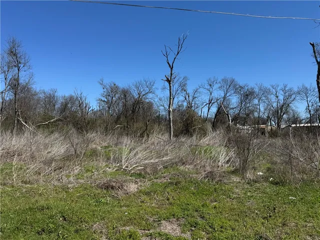$10,000 | Lot 8 2nd Street, Rosebud, TX 76570