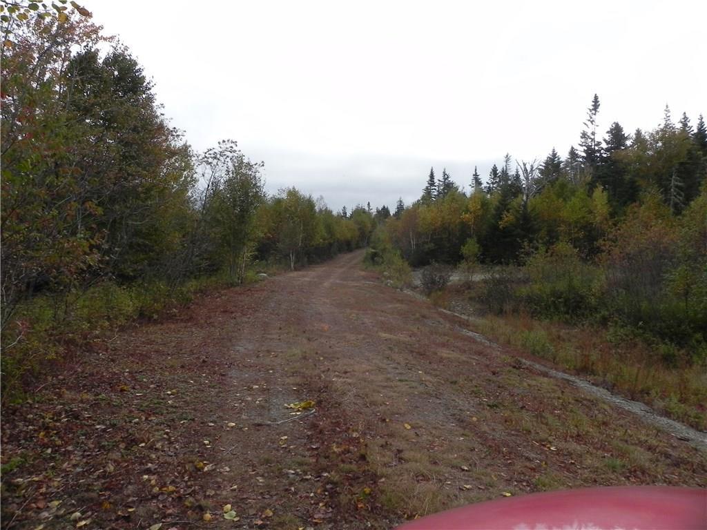 Lot 52-54 Dixie Road Lubec, ME 04652 - Photo 8 of 8 Photo
