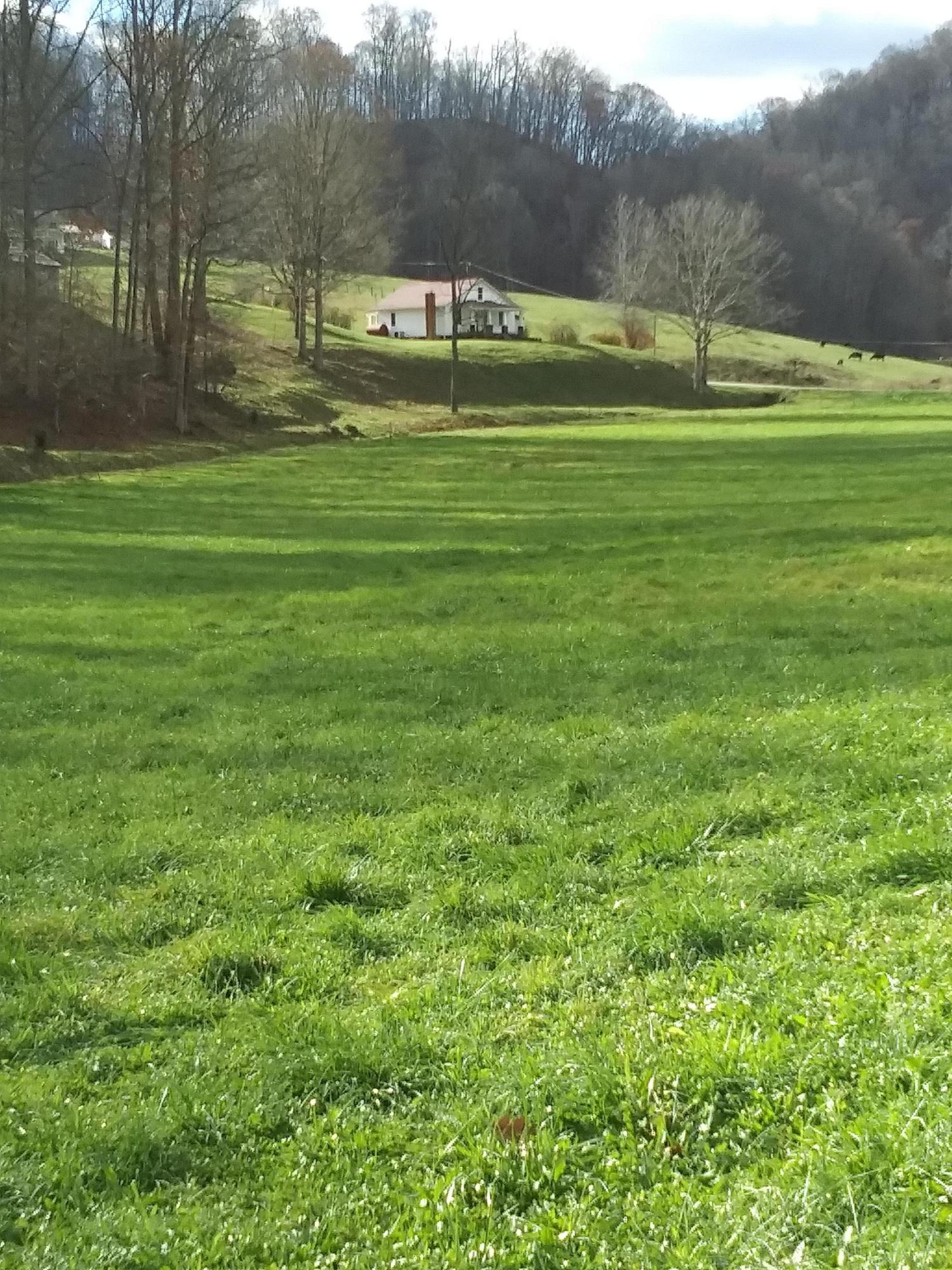 15471 Knights Bridge Road Abingdon, VA 24210 - Photo 15 of 22 mini 2