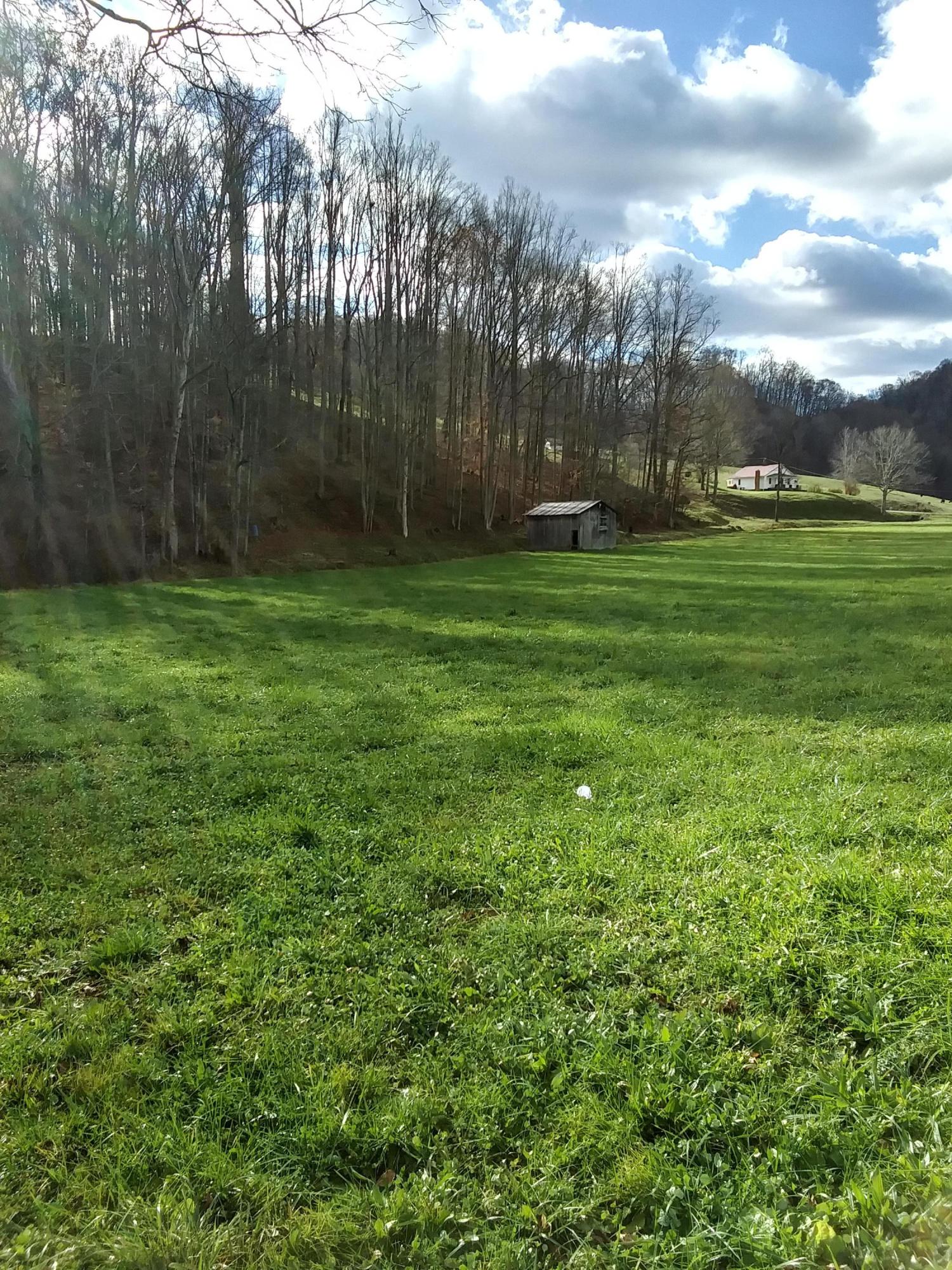 15471 Knights Bridge Road Abingdon, VA 24210 - Photo 20 of 22 mini farm