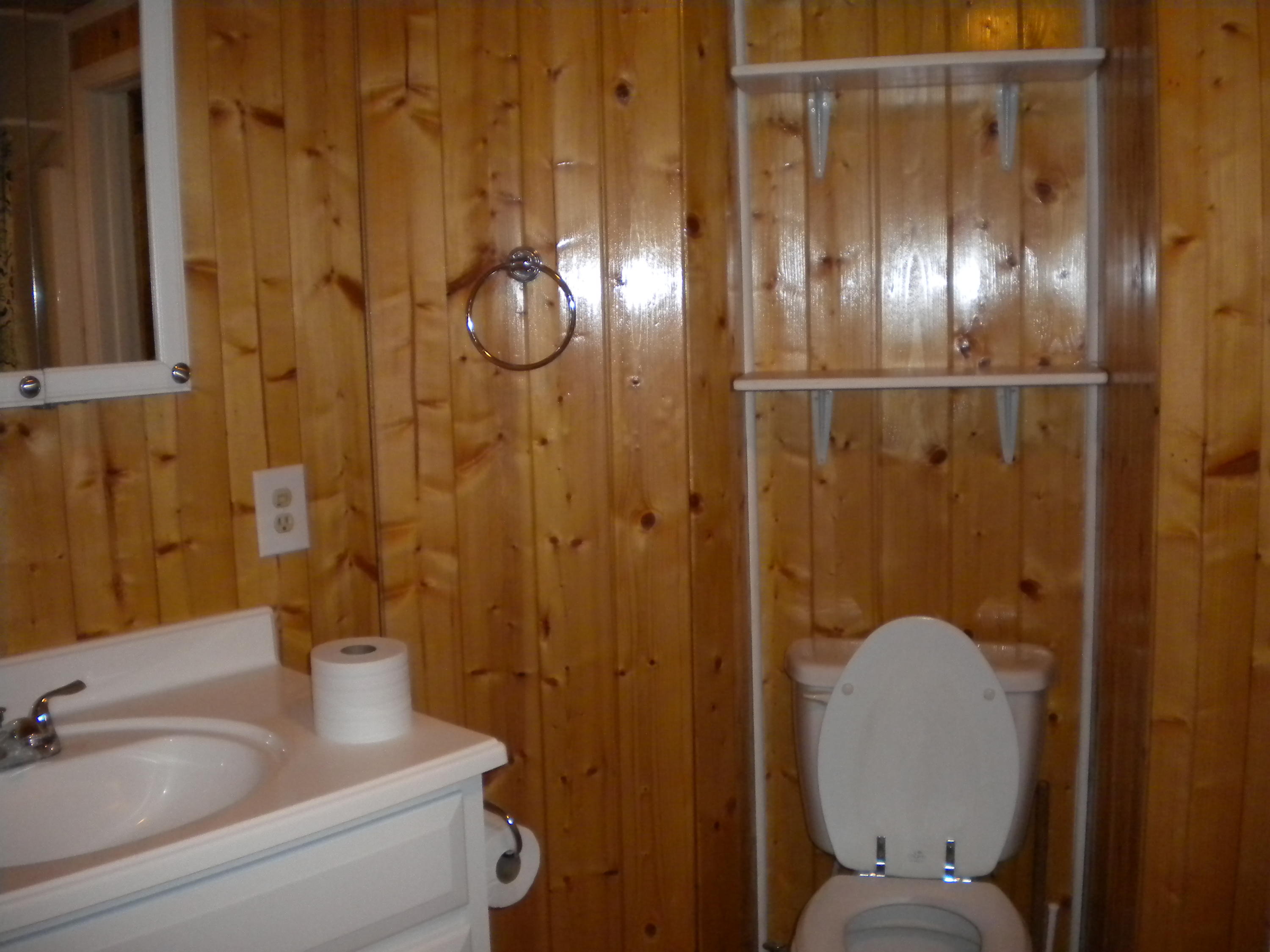 15471 Knights Bridge Road Abingdon, VA 24210 - Photo 9 of 22 bathroom