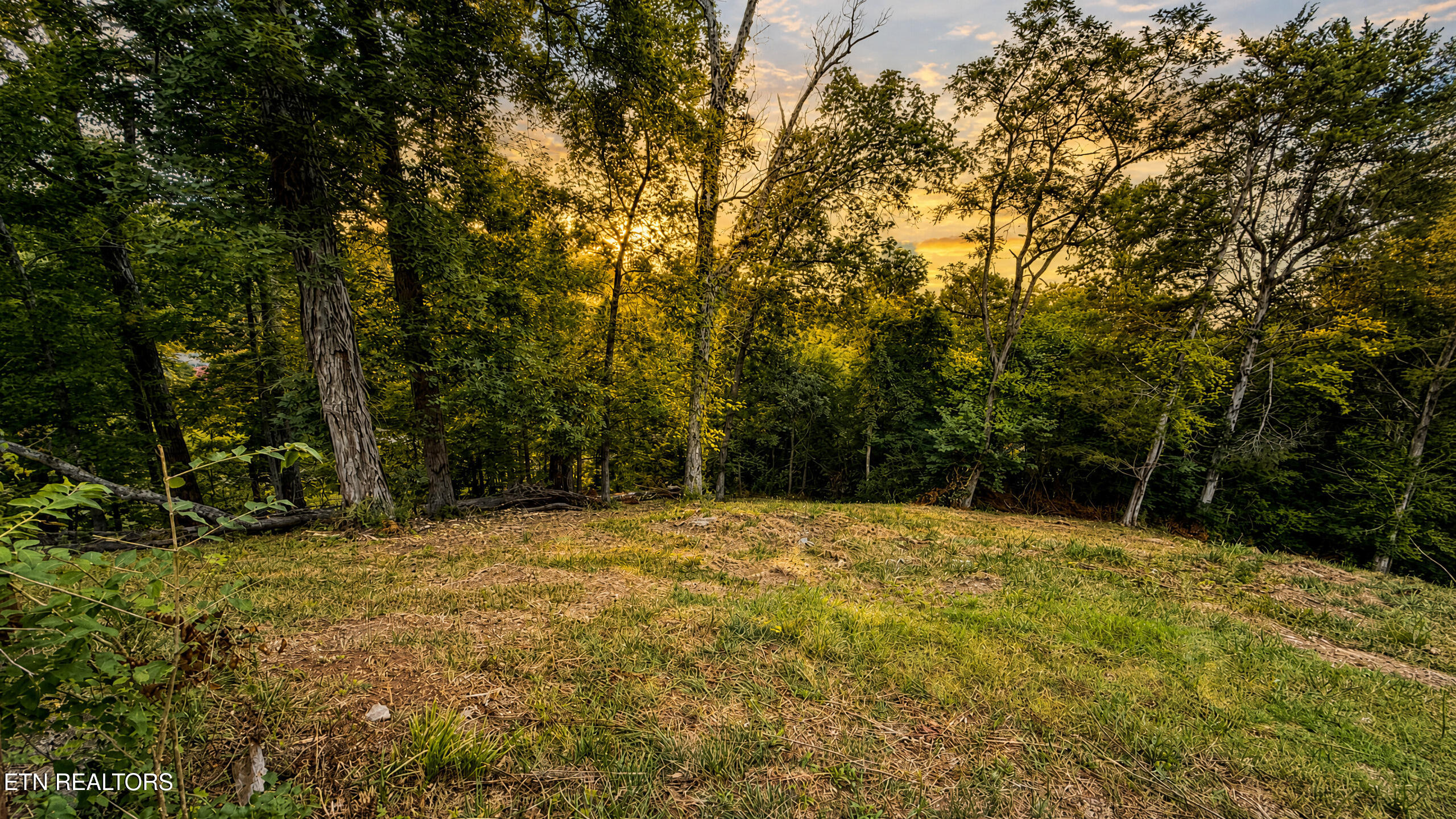 1869 East Old Topside Road Louisville, TN 37777 - Photo 12 of 39 O