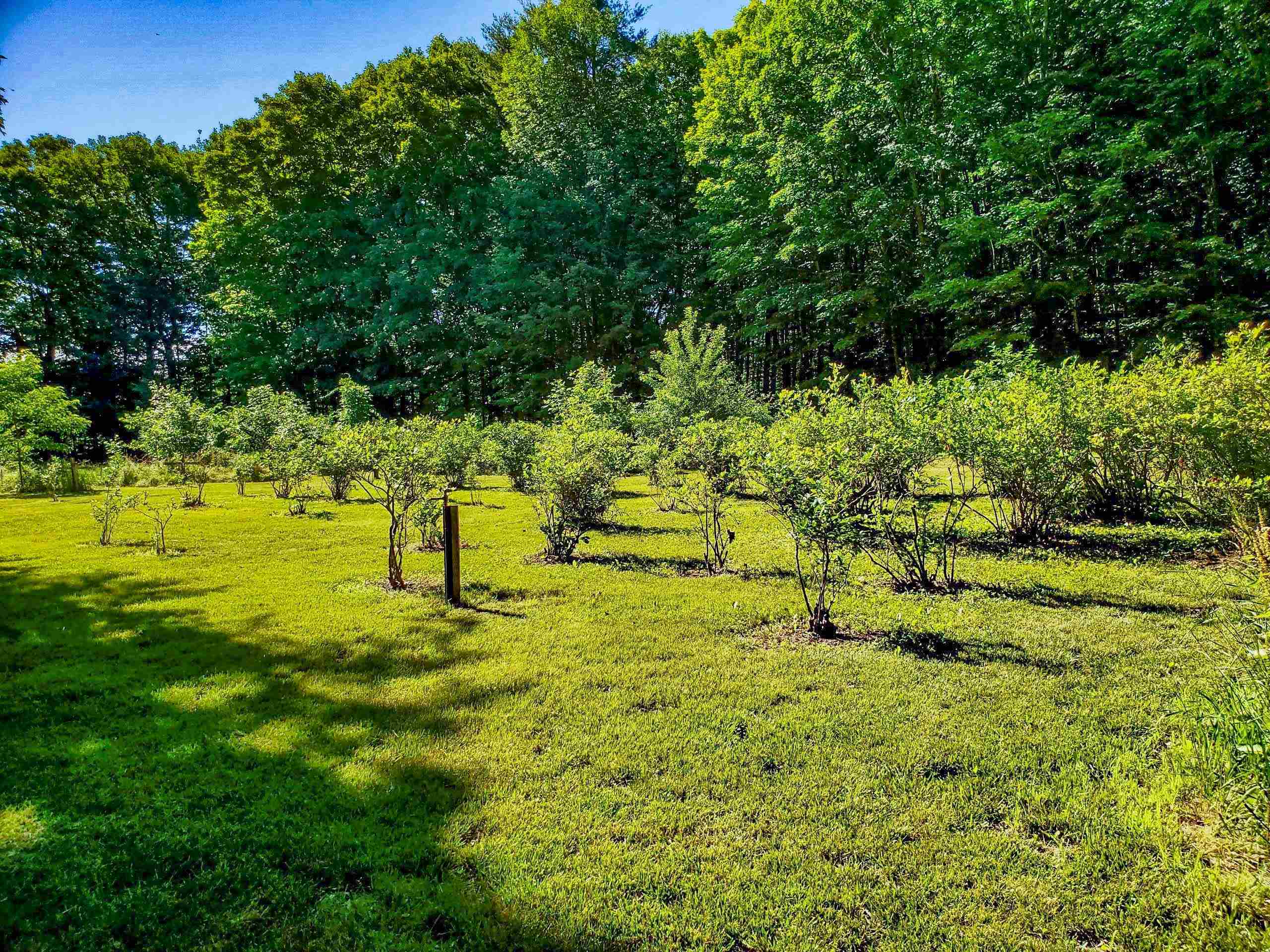 226 Amesbury Road Kensington, NH 03833 - Photo 37 of 59