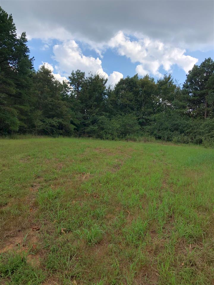 0 South County Road 409 Road South Falkner, MS 38629 - Photo 1 of 11