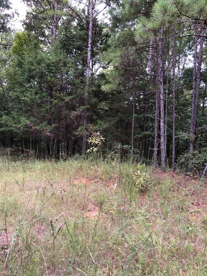 0 South County Road 409 Road South Falkner, MS 38629 - Photo 3 of 11