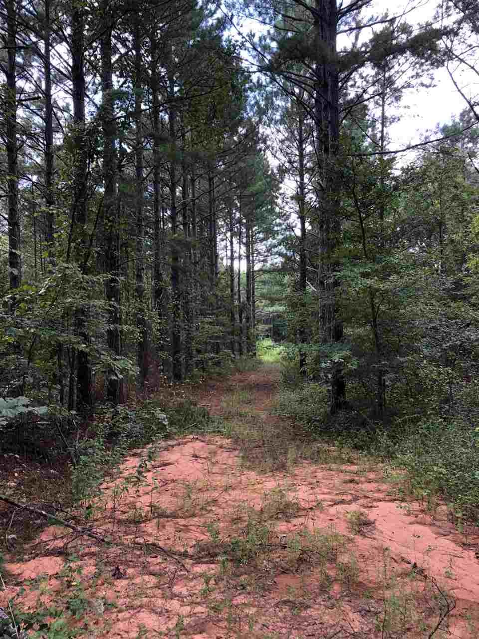 0 South County Road 409 Road South Falkner, MS 38629 - Photo 4 of 11