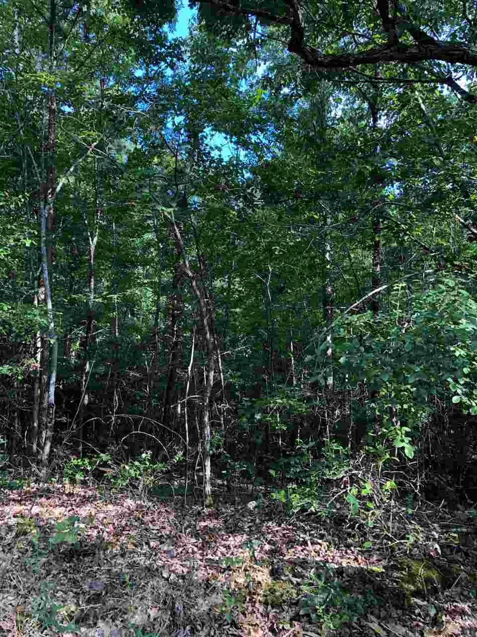 0 South County Road 409 Road South Falkner, MS 38629 - Photo 5 of 11