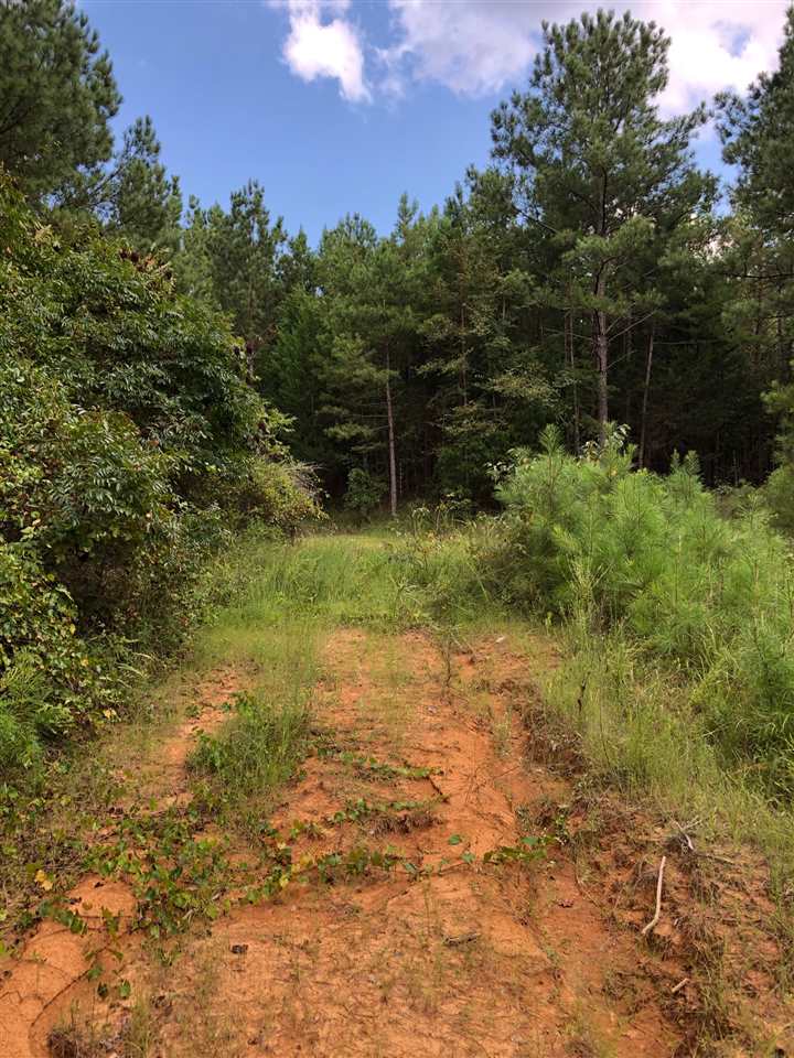 0 South County Road 409 Road South Falkner, MS 38629 - Photo 6 of 11