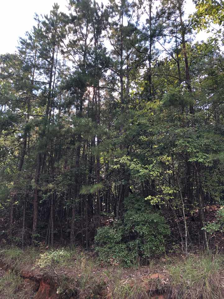 0 South County Road 409 Road South Falkner, MS 38629 - Photo 7 of 11