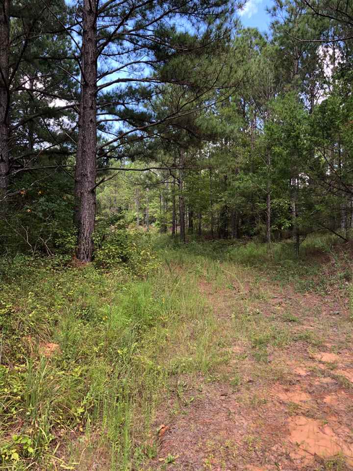 0 South County Road 409 Road South Falkner, MS 38629 - Photo 8 of 11