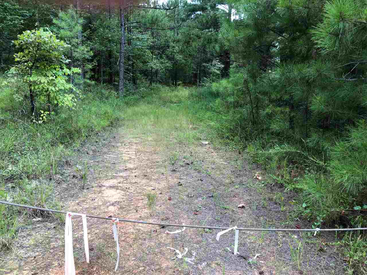 0 South County Road 409 Road South Falkner, MS 38629 - Photo 9 of 11