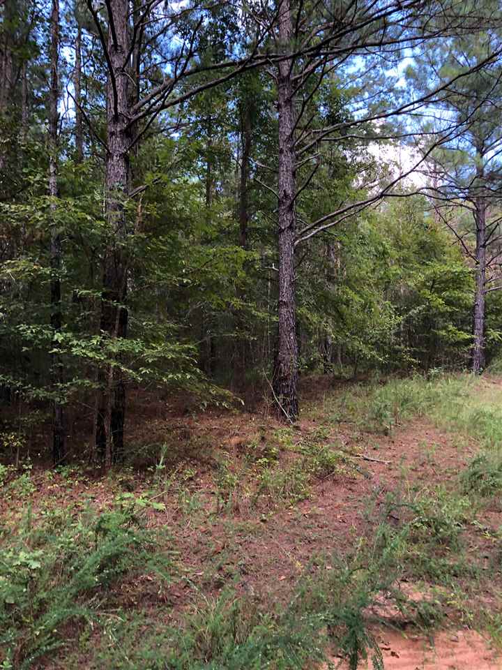 0 South County Road 409 Road South Falkner, MS 38629 - Photo 10 of 11