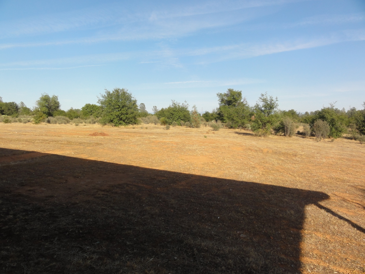 5555 Monte Vista Road Anderson, CA 96007 - Photo 19 of 19 Back Yard Area
