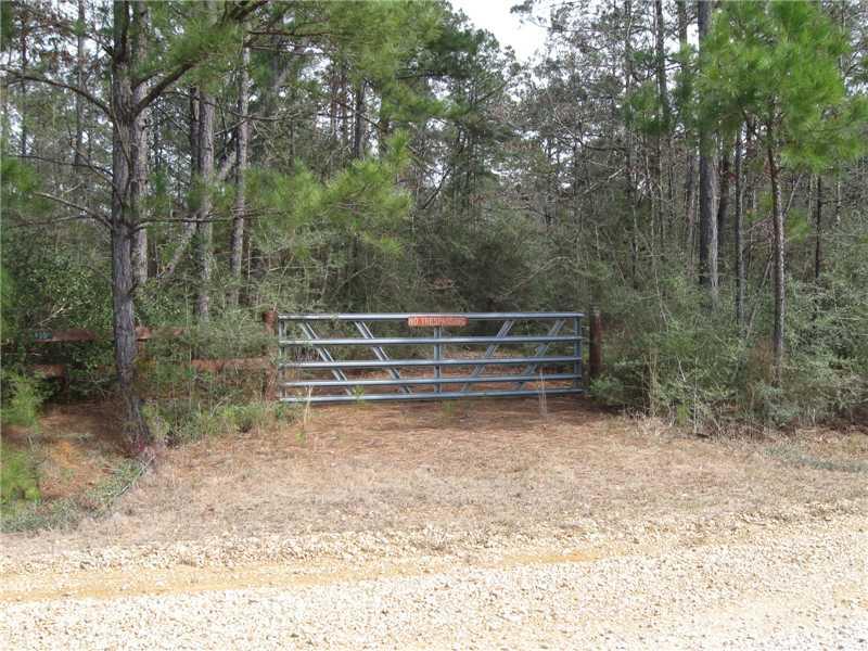 64399 Elk River Road Amite, LA 70422 - Photo 1 of 4 Gallery Image 1