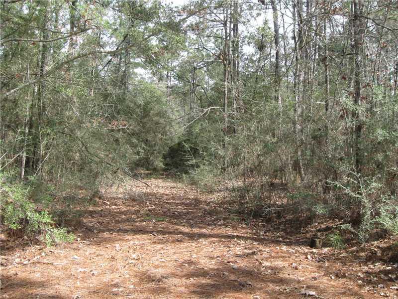 64399 Elk River Road Amite, LA 70422 - Photo 2 of 4 Gallery Image 2