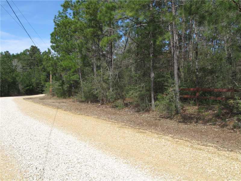 64399 Elk River Road Amite, LA 70422 - Photo 4 of 4 Gallery Image 4
