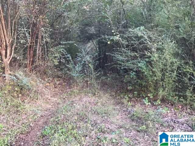 5577 Red Hollow Road, Unit 5 Birmingham, AL 35215 - Photo 10 of 12