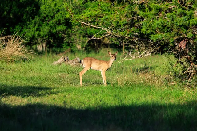 $2,195,000 | 362 Kruse Hill Drive, Fredericksburg, TX 78624