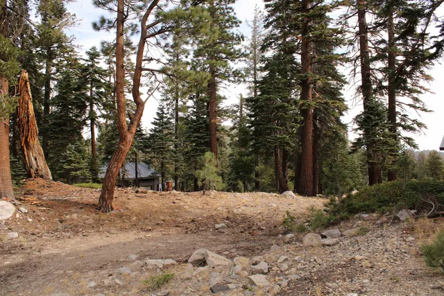 a street view covered with snow