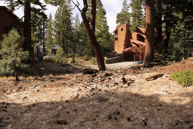 a street view covered with snow