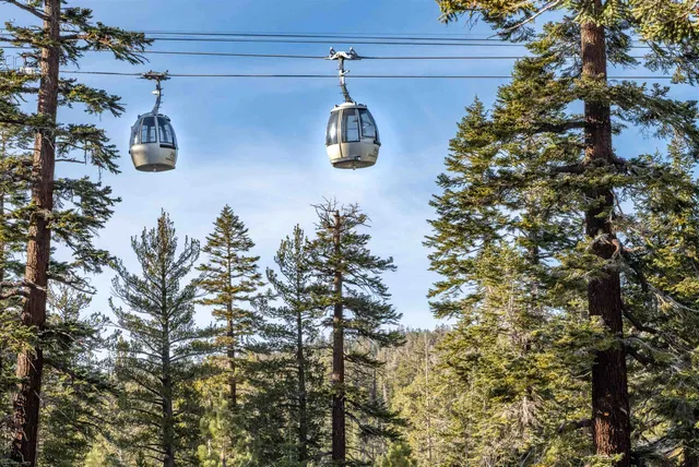 a close up of a plant in a kitchen