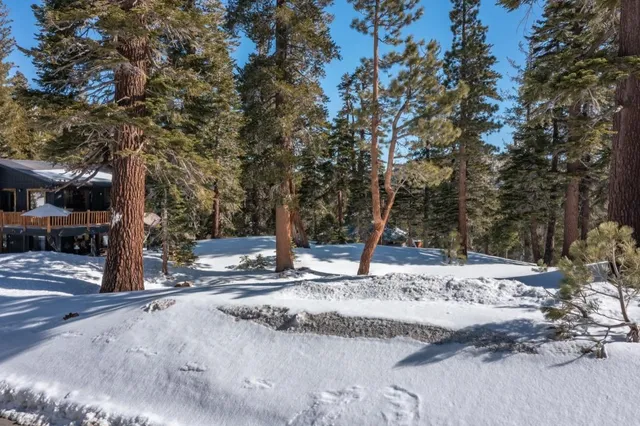 a view of a yard with wooden fence