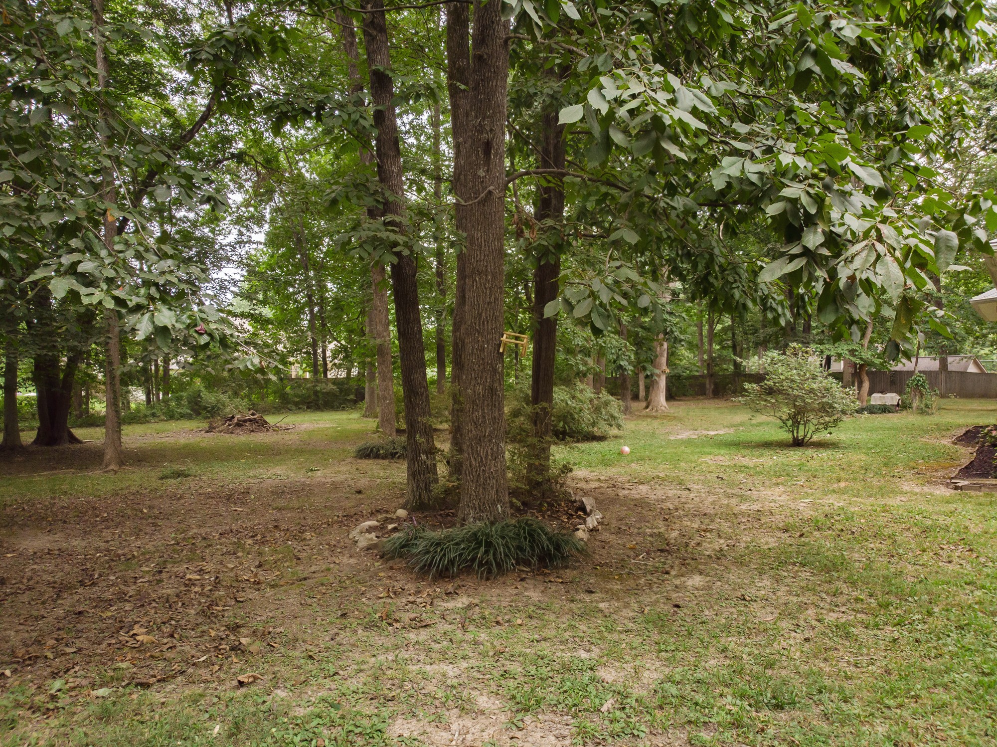 96 Smoke Rise Circle Manchester, TN 37355 - Photo 25 of 31 a view of a tree in the middle of a yard