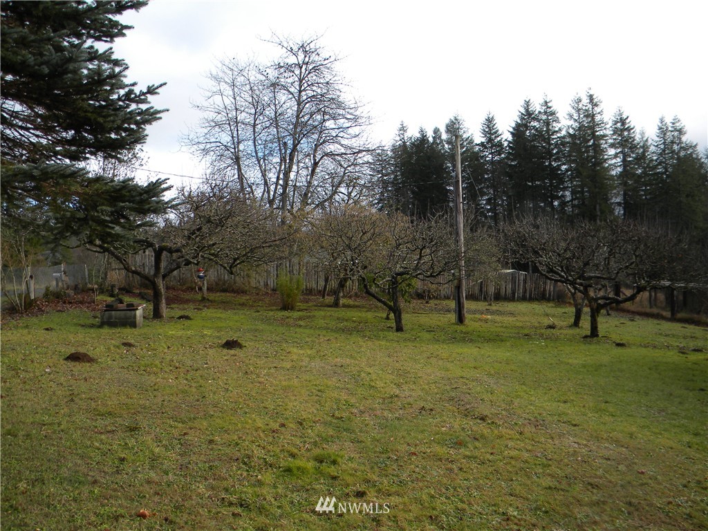 115 Malone Hill Road Elma, WA 98541 - Photo 22 of 24 Gallery Image 22