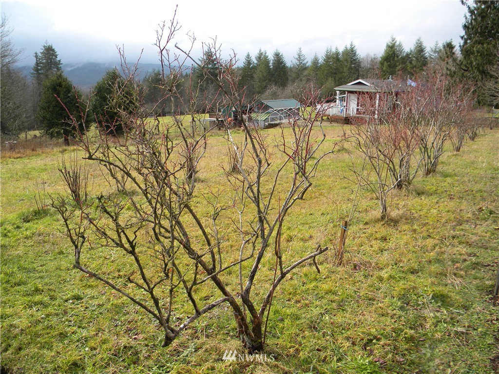 115 Malone Hill Road Elma, WA 98541 - Photo 23 of 24 Gallery Image 23