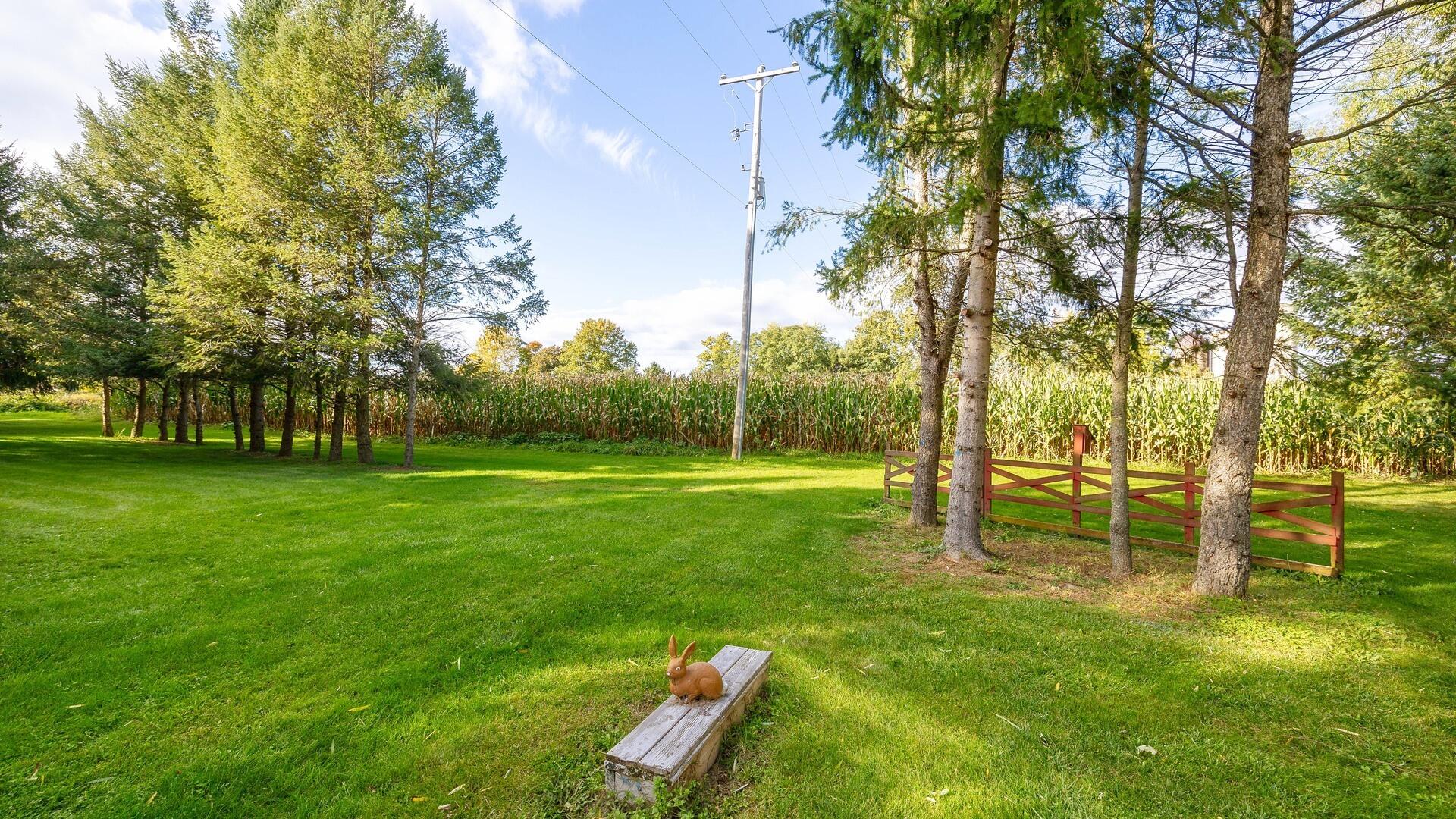 11725 Hardcastle Road Brooklyn, MI 49230 - Photo 16 of 63 00__13