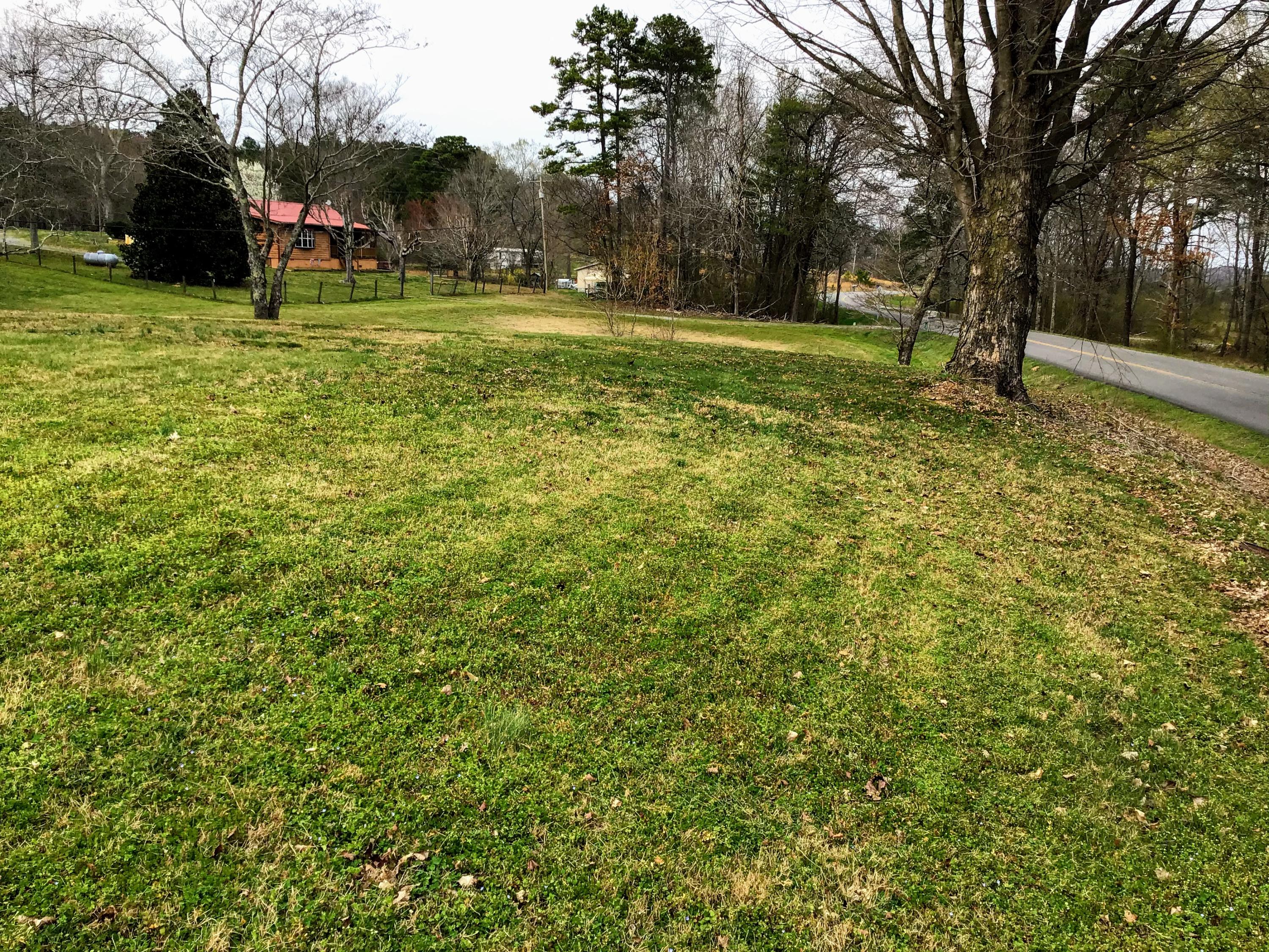 1076 Bancroft Road McDonald, TN 37353 - Photo 24 of 24 IMG_5091