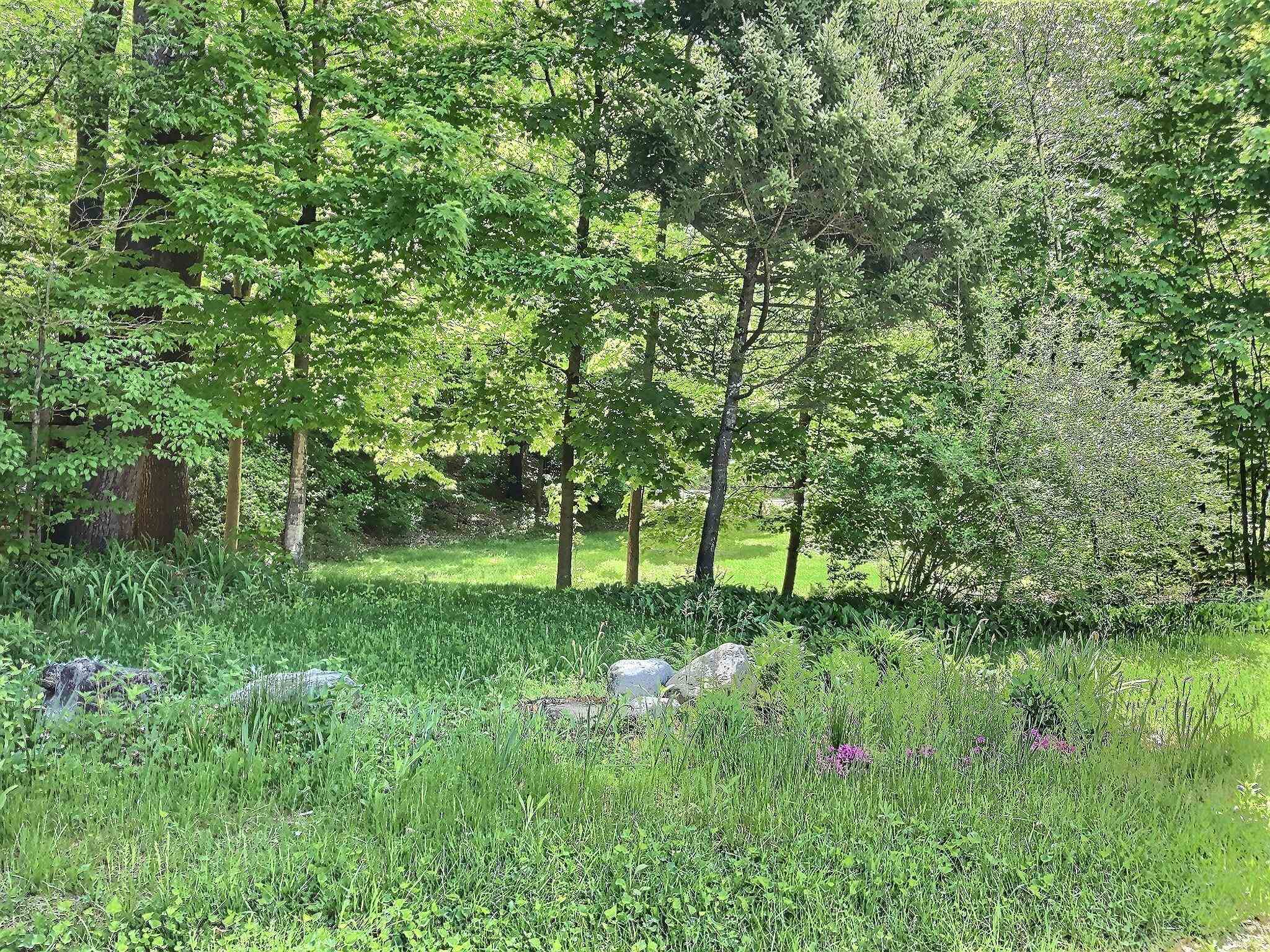 17 Old Dublin Road Peterborough, NH 03458 - Photo 4 of 11 Gallery Image 4