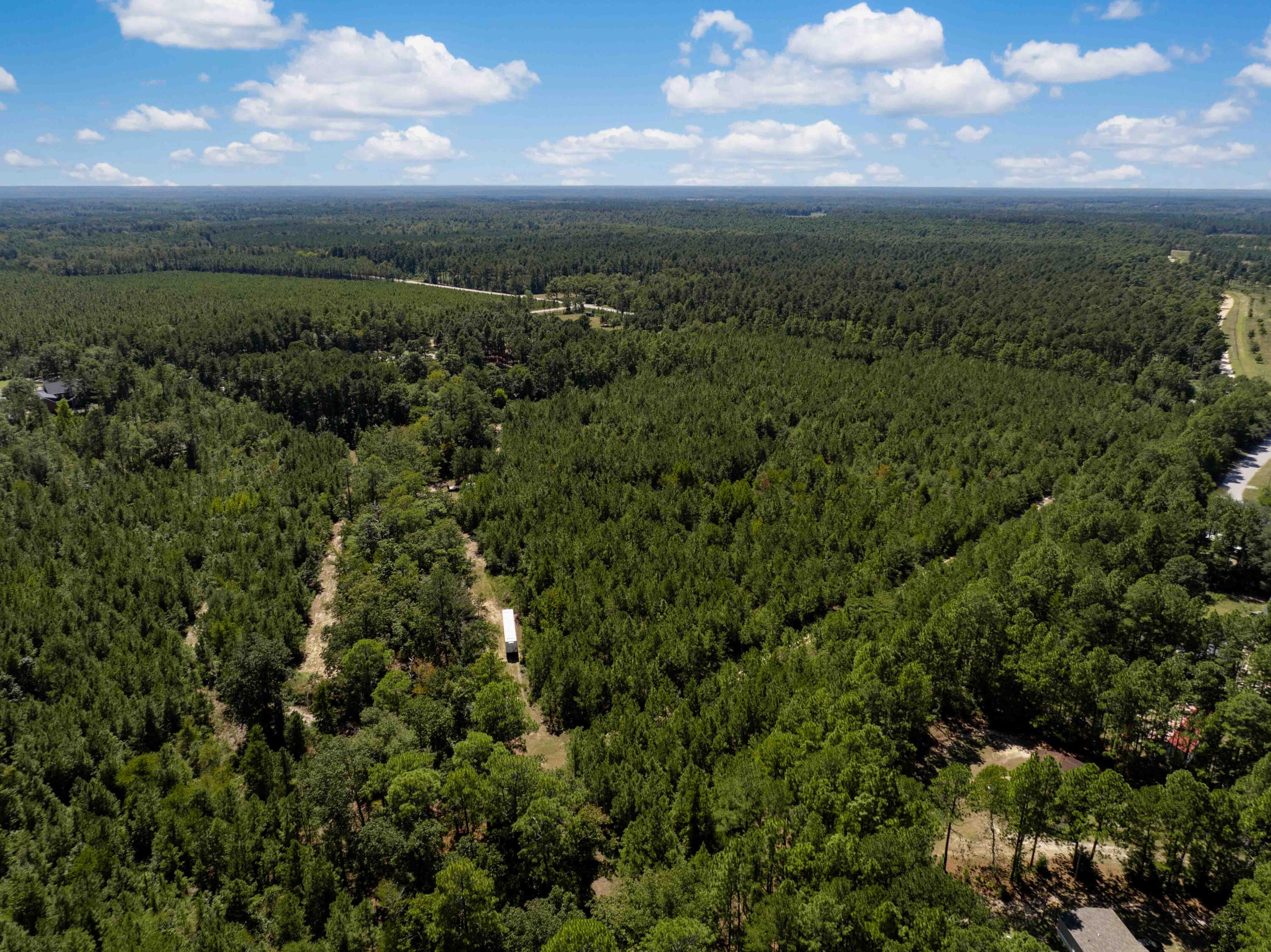1084 Farnum Road Orangeburg, SC 29118 - Photo 107 of 113 1084 Farnum Rd Drone-4