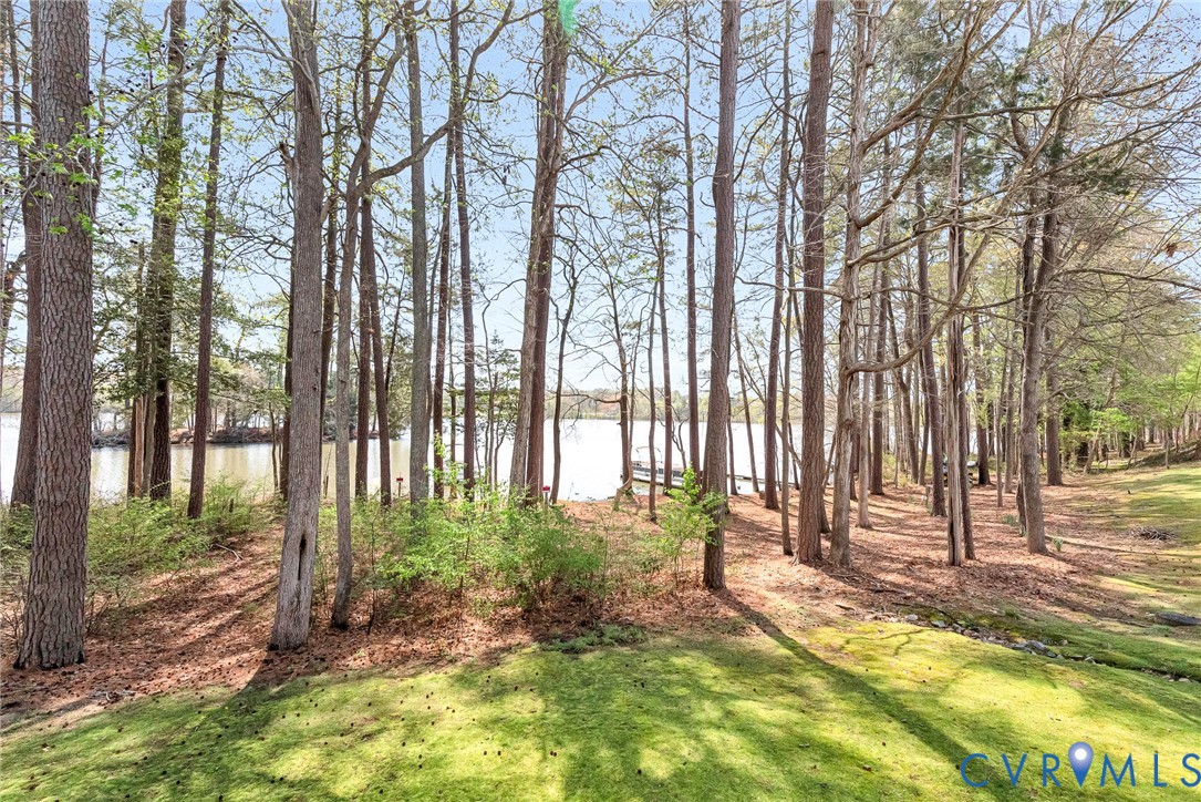 102 Water Pointe Court Midlothian, VA 23112 - Photo 31 of 35 a view of backyard with green space