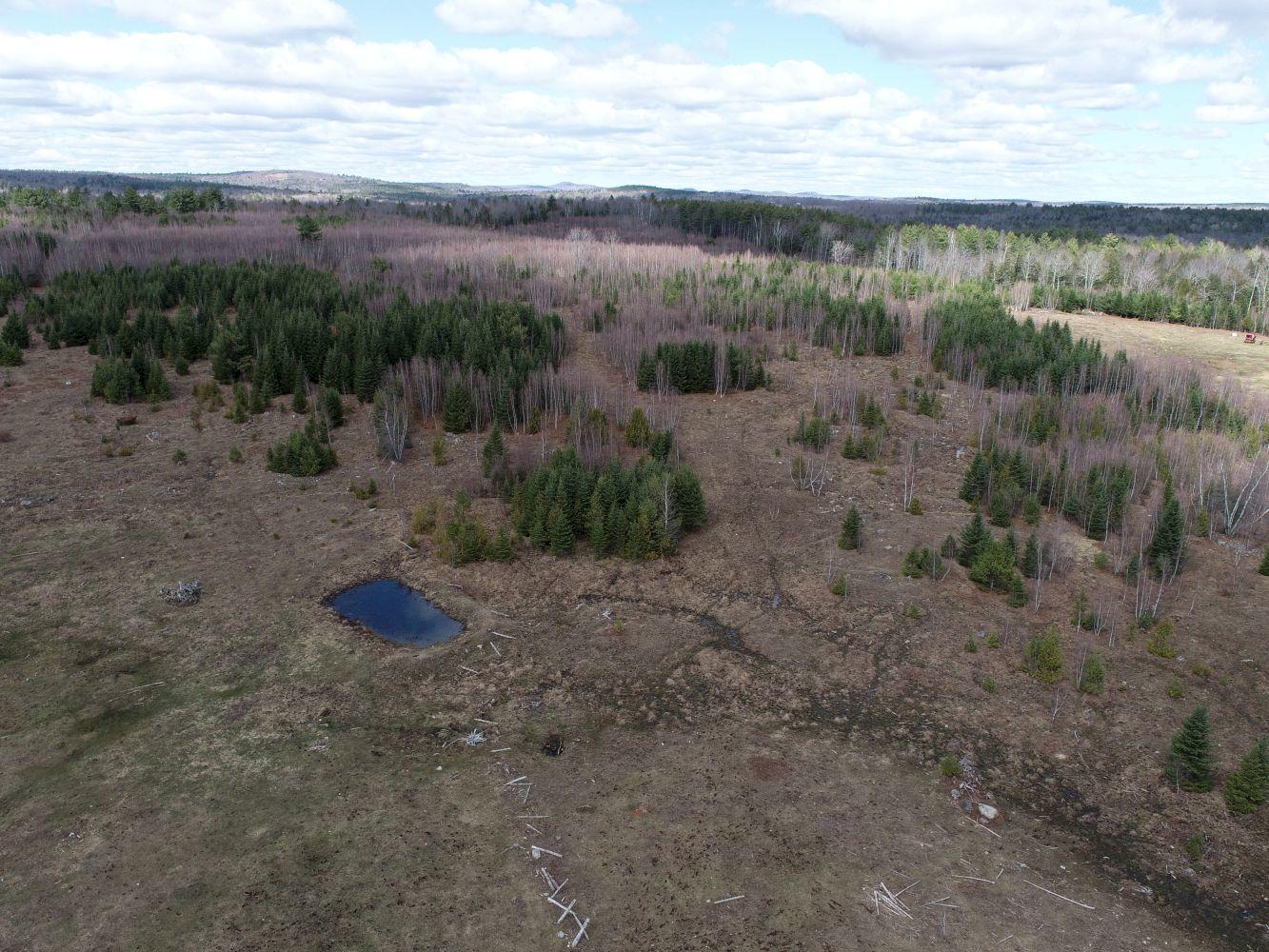 560 Horsetail Hill Road Madison, ME 04950 - Photo 62 of 75 Pasture