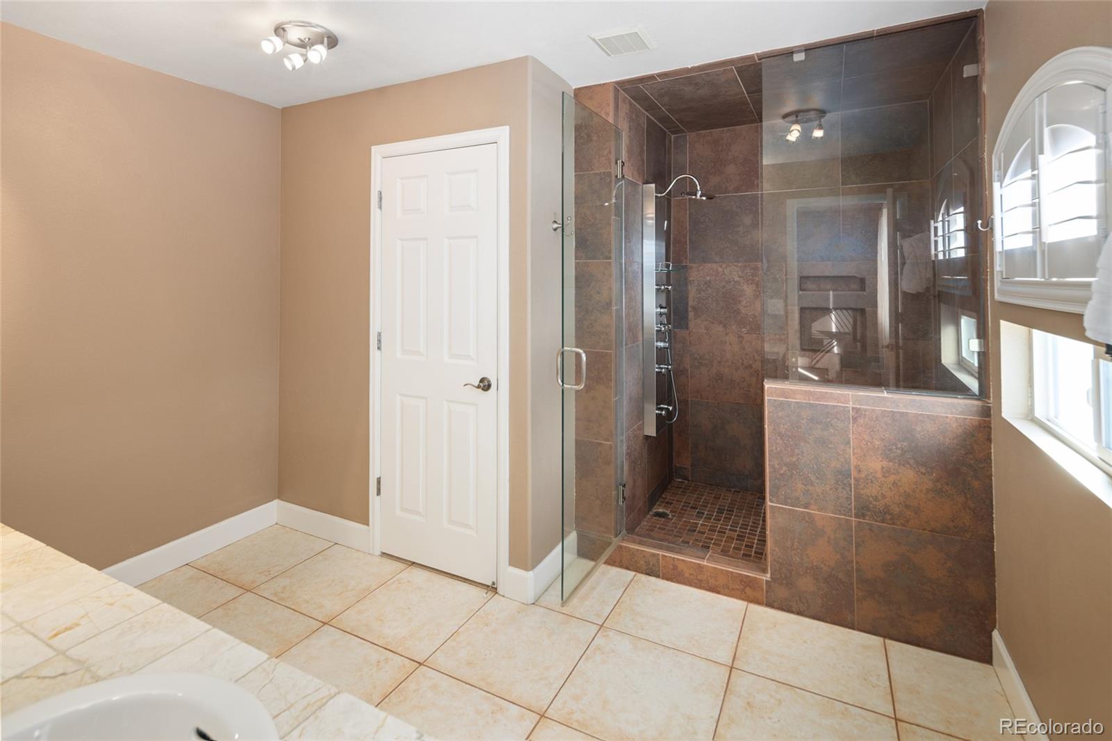 10269 Fawnbrook Court Highlands Ranch, CO 80130 - Photo 24 of 45 a bathroom with a shower and a sink