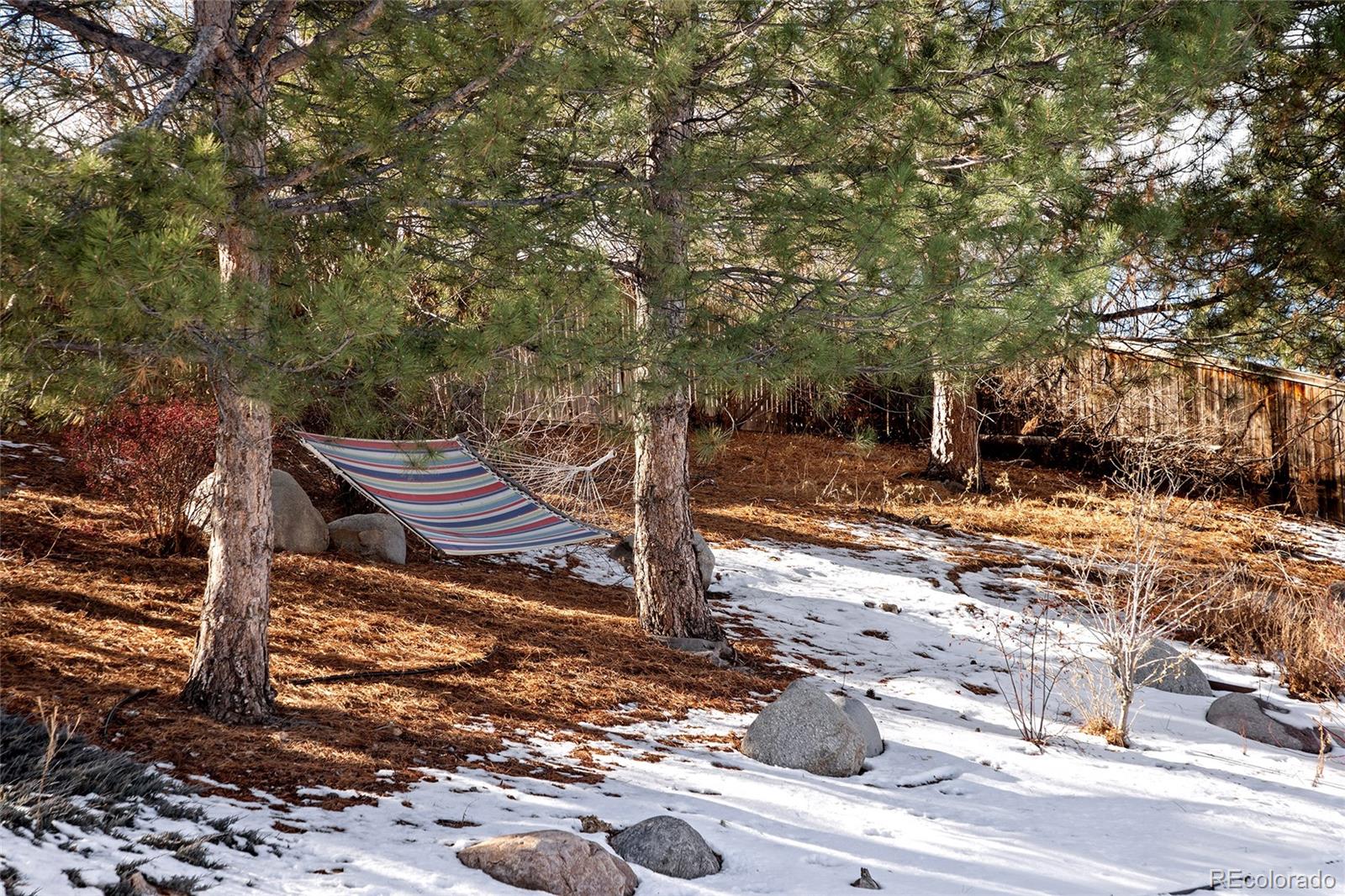 10269 Fawnbrook Court Highlands Ranch, CO 80130 - Photo 41 of 45 a view of a yard with plants and trees