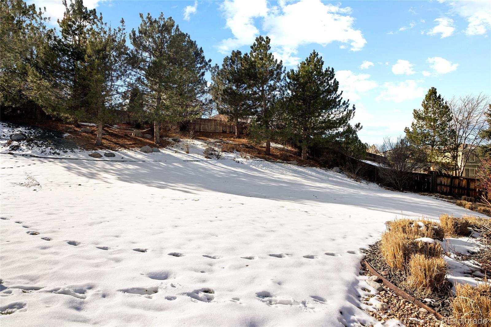 10269 Fawnbrook Court Highlands Ranch, CO 80130 - Photo 42 of 45 a view of road and yard