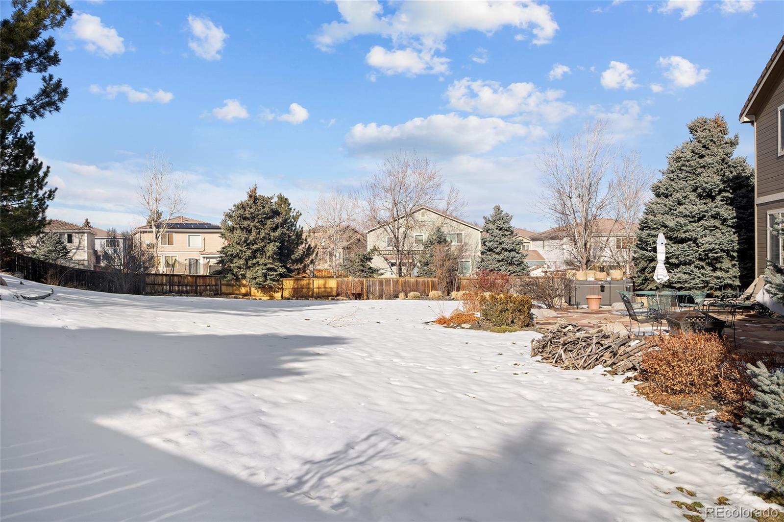 10269 Fawnbrook Court Highlands Ranch, CO 80130 - Photo 44 of 45 a view of a city