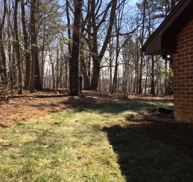 2051 Ruritan Road Roanoke, VA 24012 - Photo 19 of 19 Wooded Back Yard