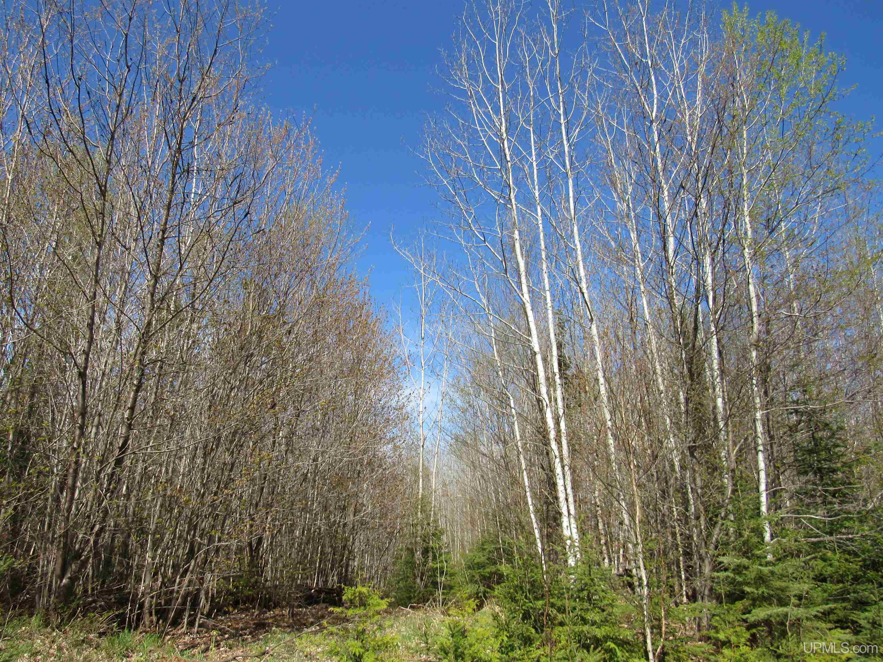 Tbd Off Rice Lake Road, Unit NO DRIVE BYS Lake Linden, MI 49945 - Photo 24 of 40