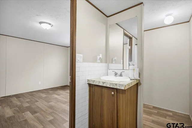 a bathroom with a sink and a mirror
